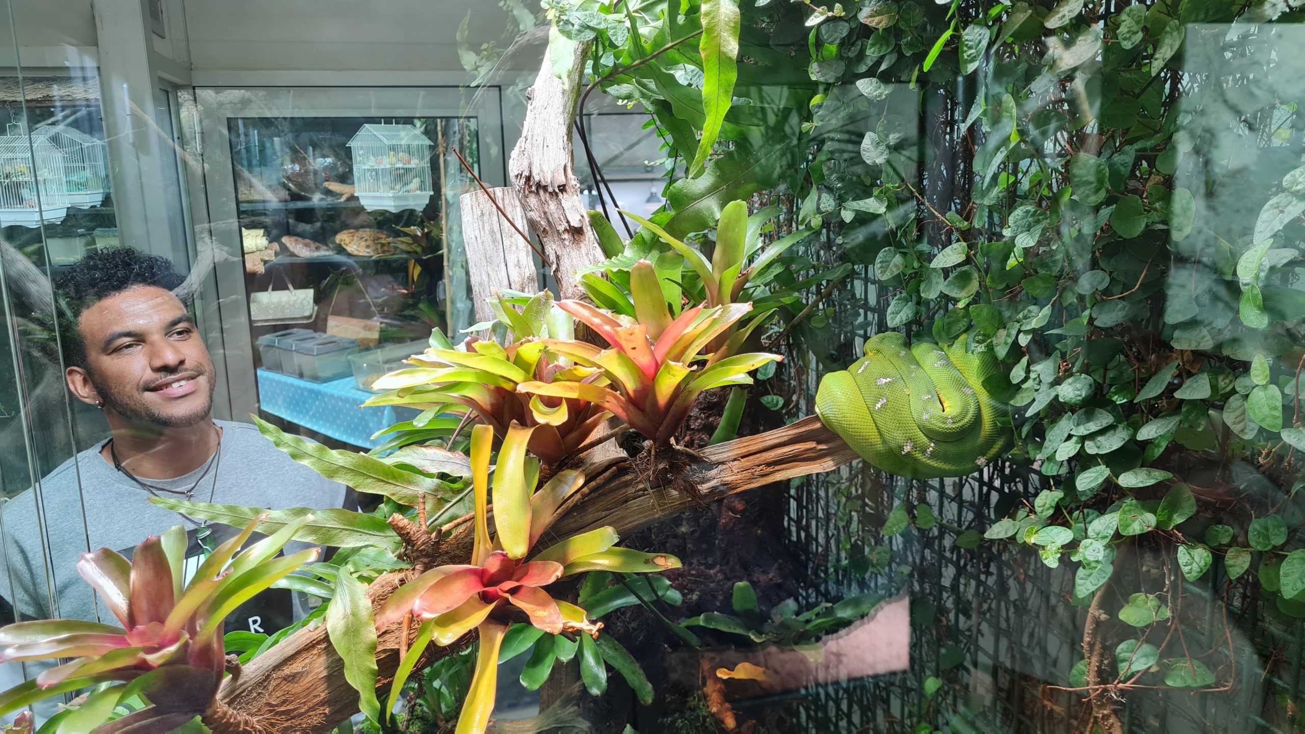 Caribbean Native Joshel Wilson Embarks on Conservation Journey in the Channel Islands with Durrell