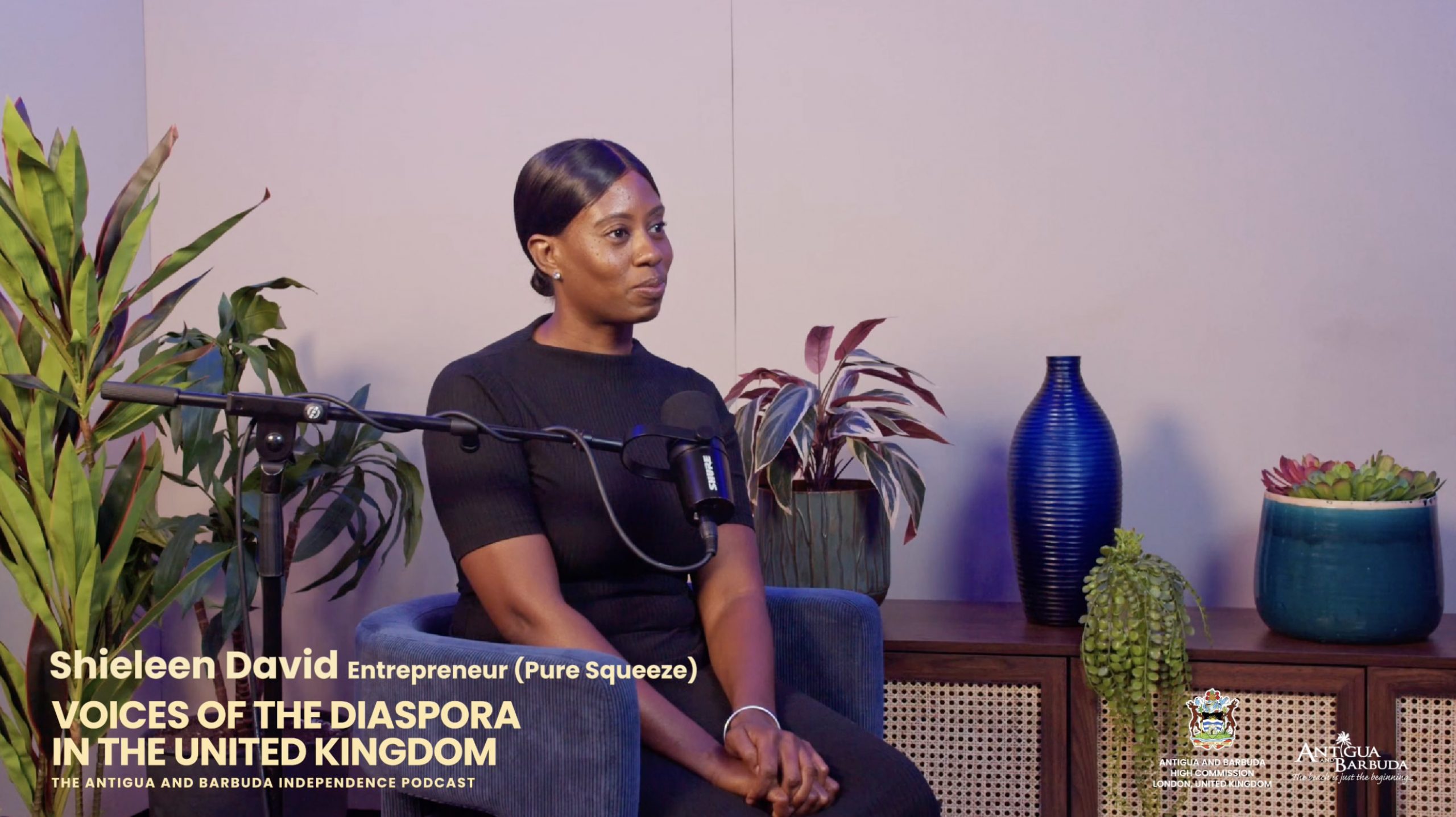 Voices of the Diaspora: Episode 2 — Featuring Shileen David (Pure Squeeze)